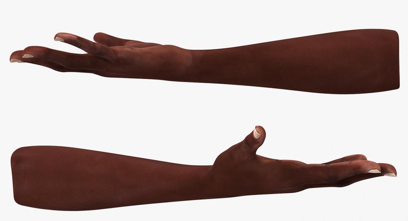 African Female Hand 3D model