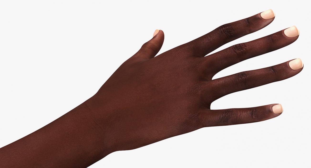 African Female Hand 3D model