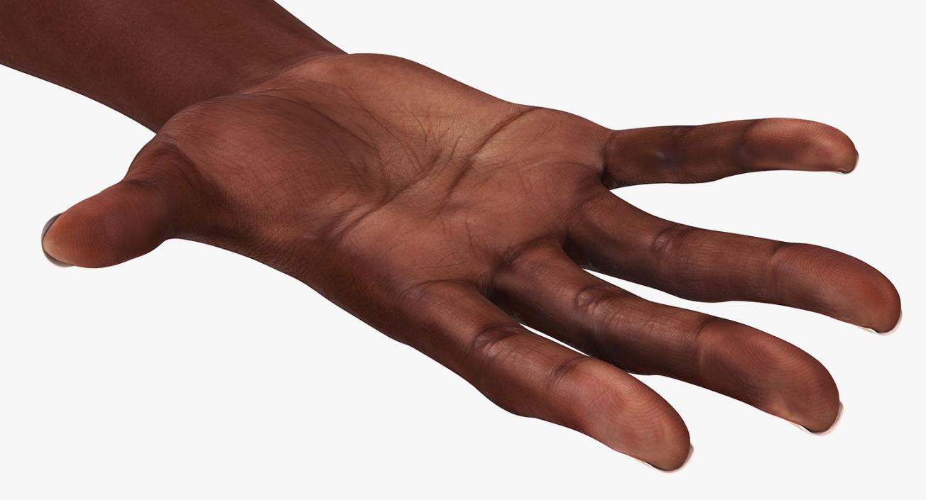 African Female Hand 3D model