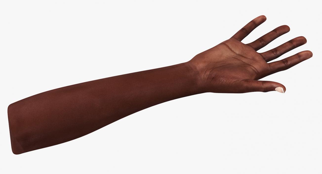 African Female Hand 3D model