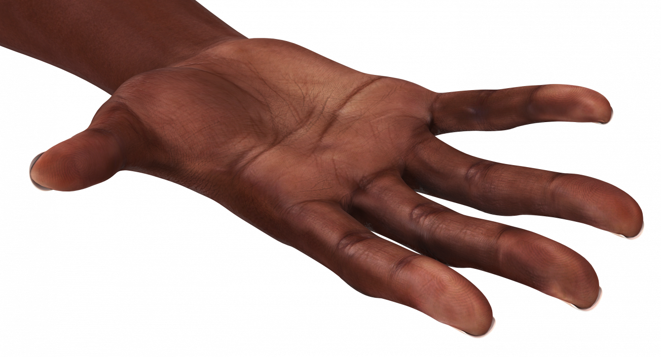 African Female Hand 3D model