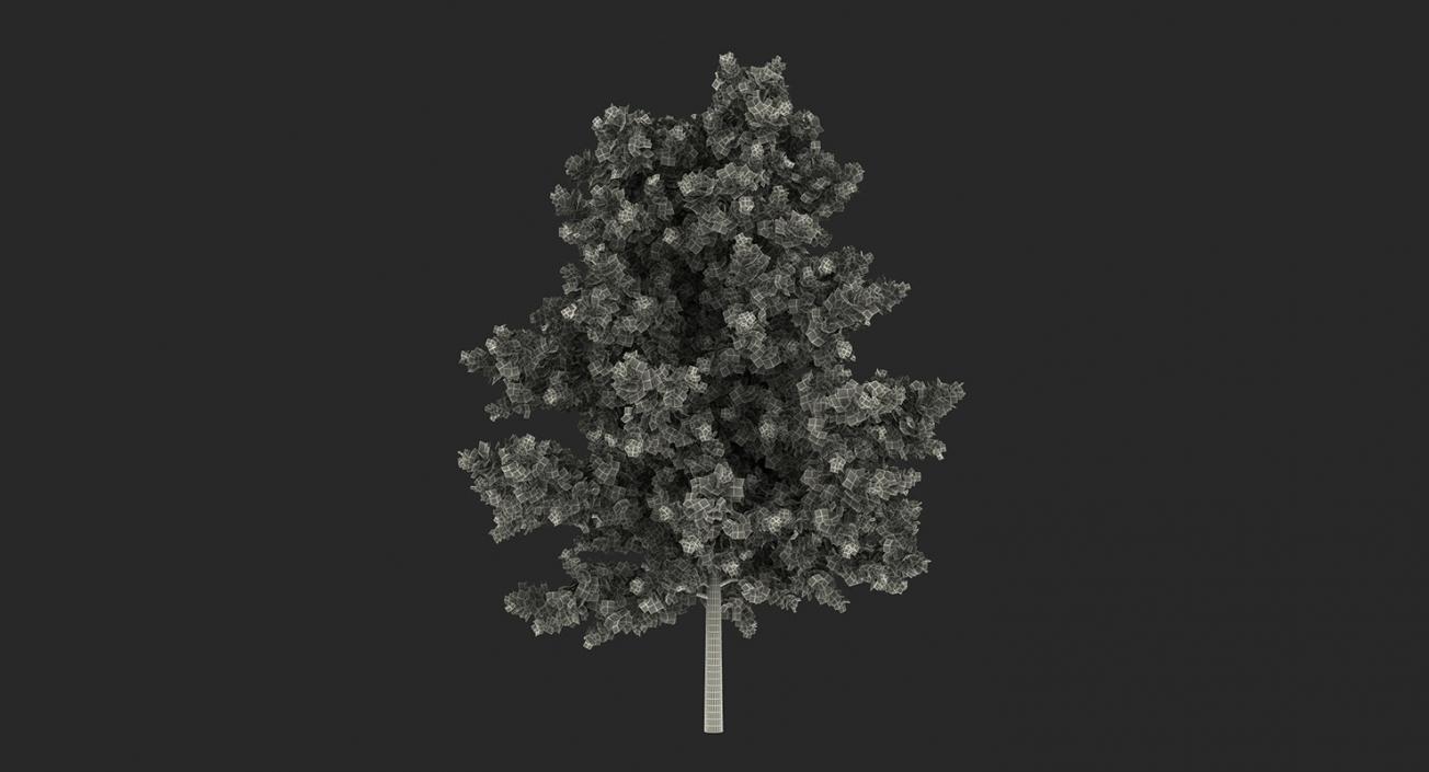 3D model Summer Trees Collection 4