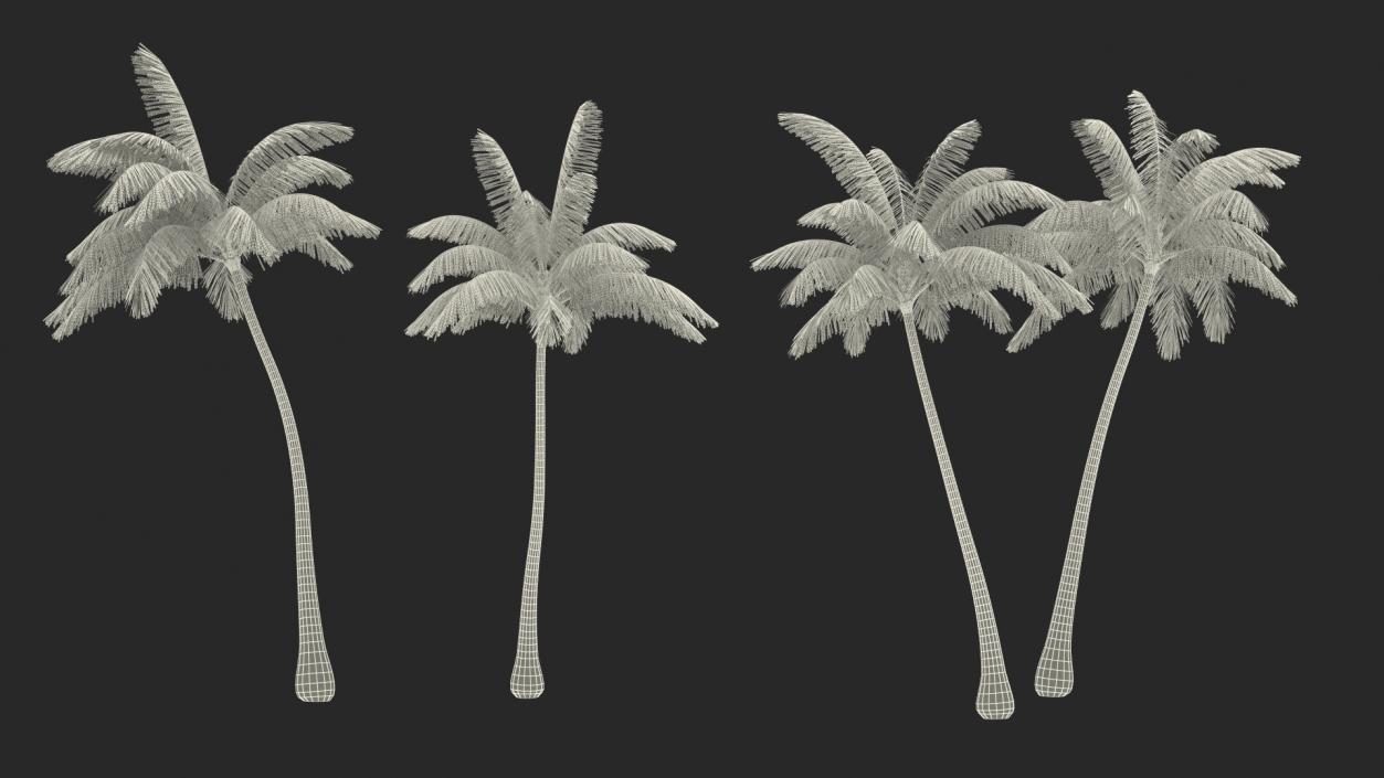 3D model Summer Trees Collection 4