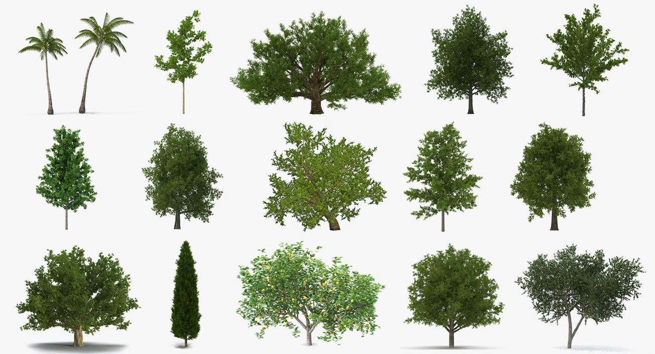 3D model Summer Trees Collection 4