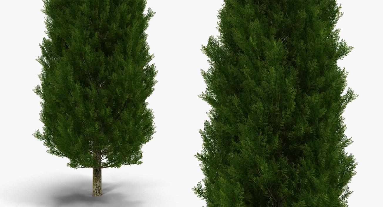 3D model Summer Trees Collection 4