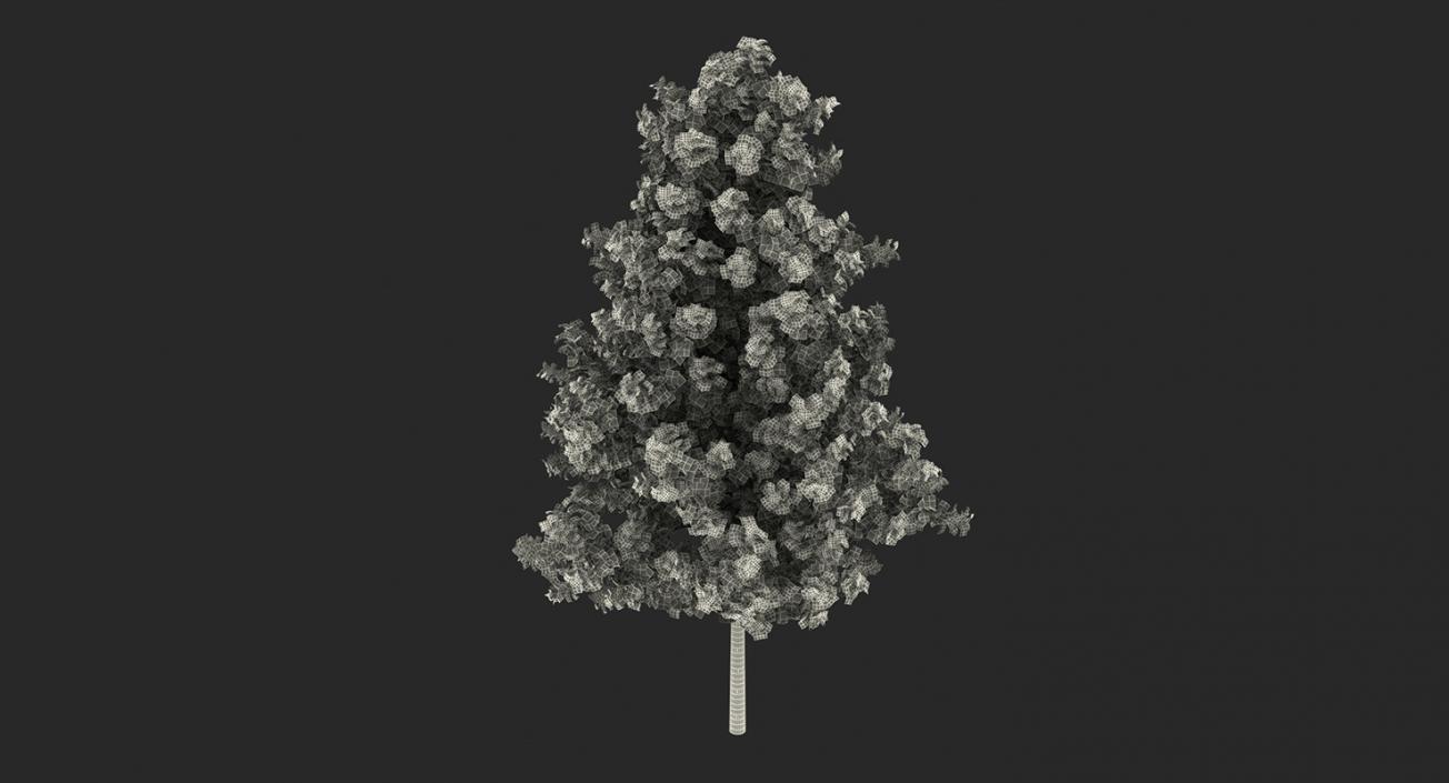 3D model Summer Trees Collection 4