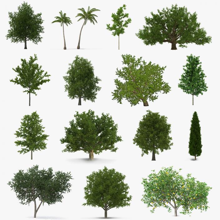 3D model Summer Trees Collection 4