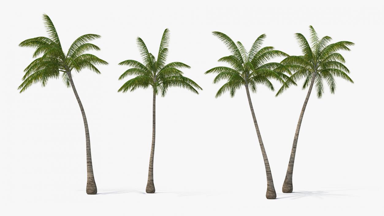 3D model Summer Trees Collection 4