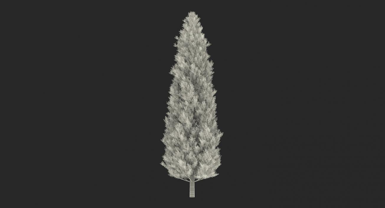 3D model Summer Trees Collection 4