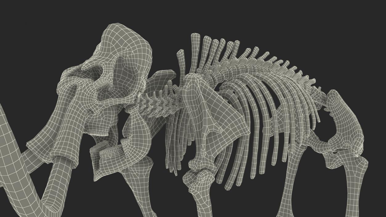 3D Mammoth Skeleton Old Bones