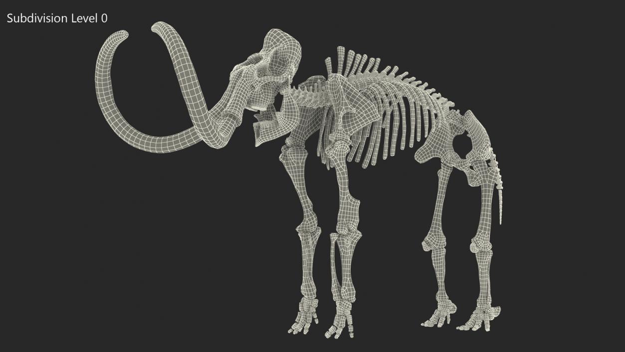 3D Mammoth Skeleton Old Bones