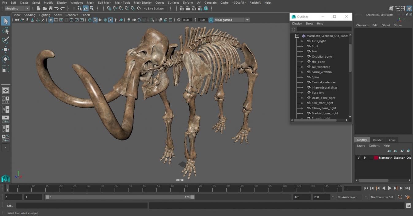 3D Mammoth Skeleton Old Bones