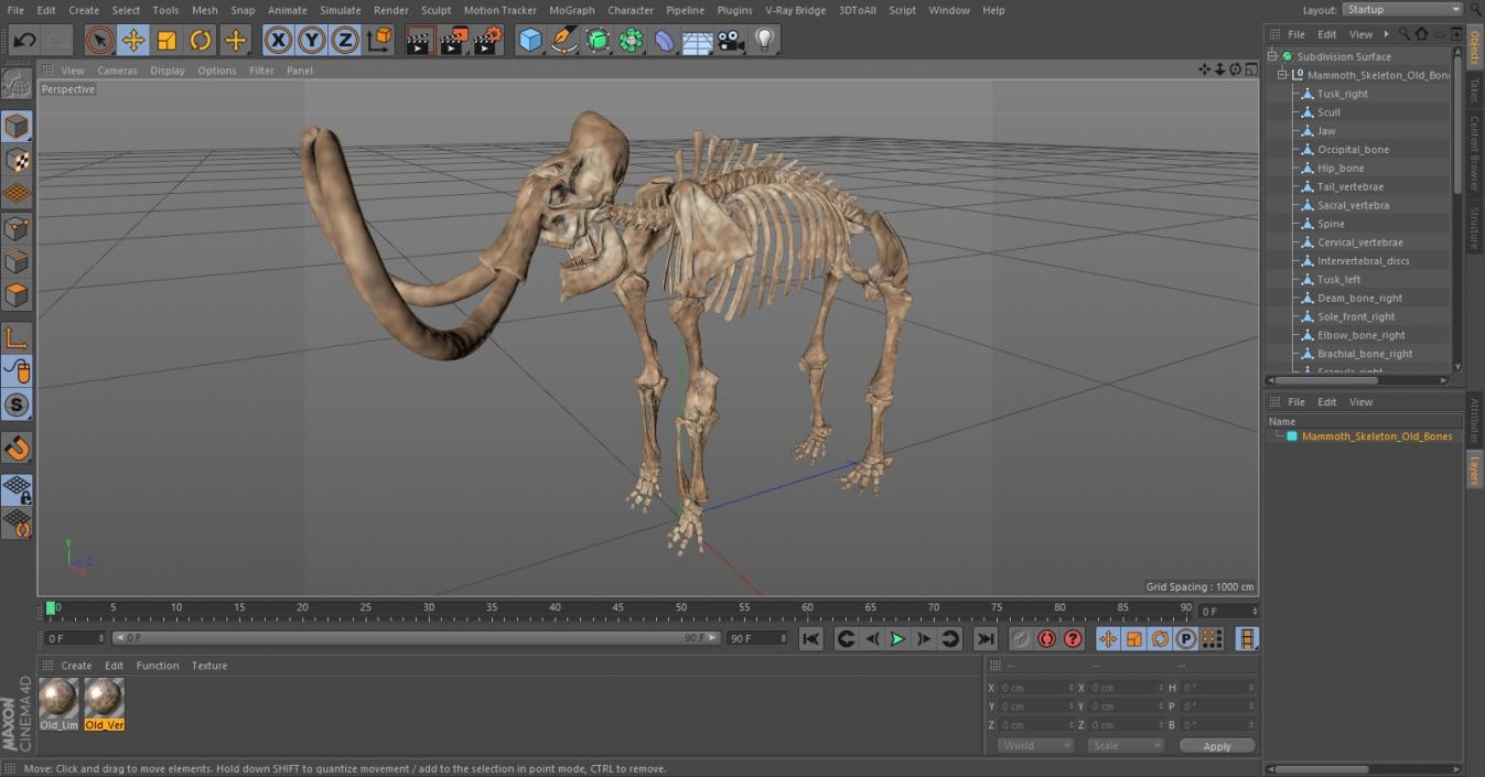 3D Mammoth Skeleton Old Bones