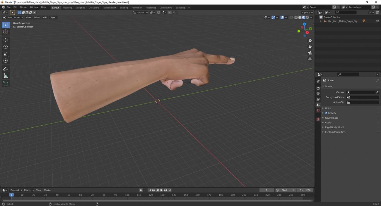 Man Hand Middle Finger Sign 3D