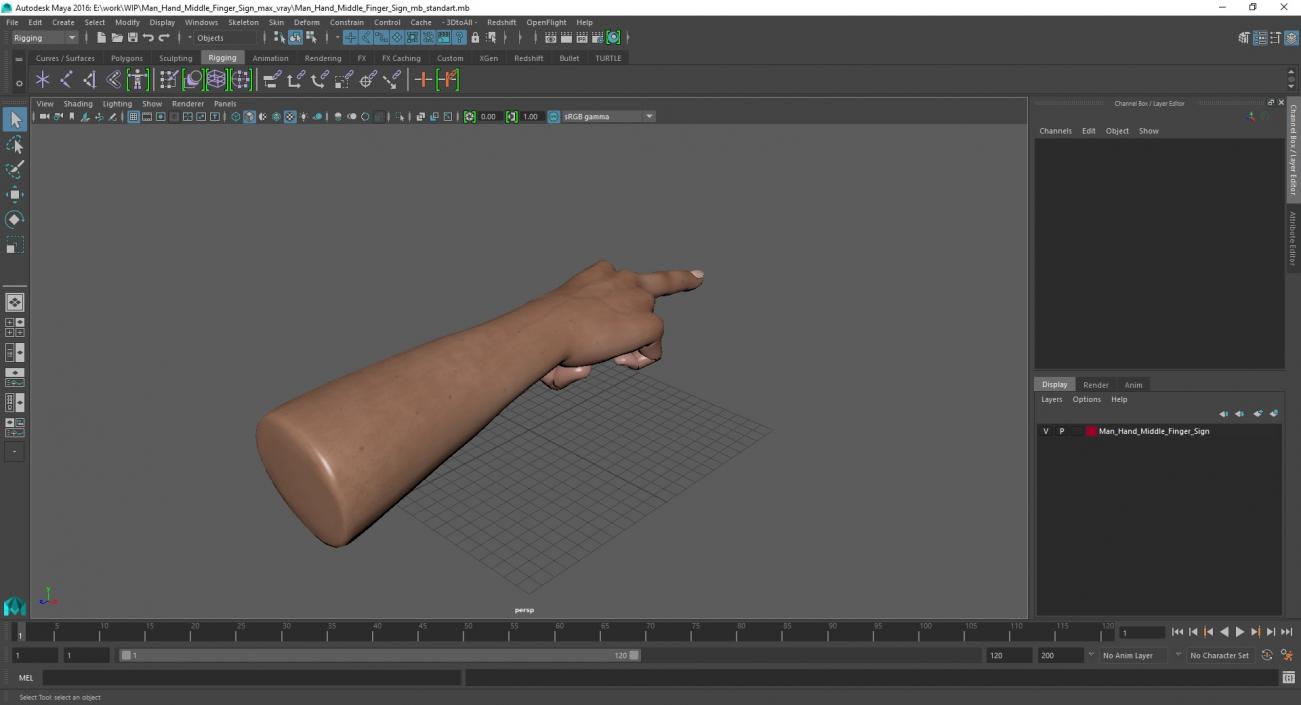 Man Hand Middle Finger Sign 3D