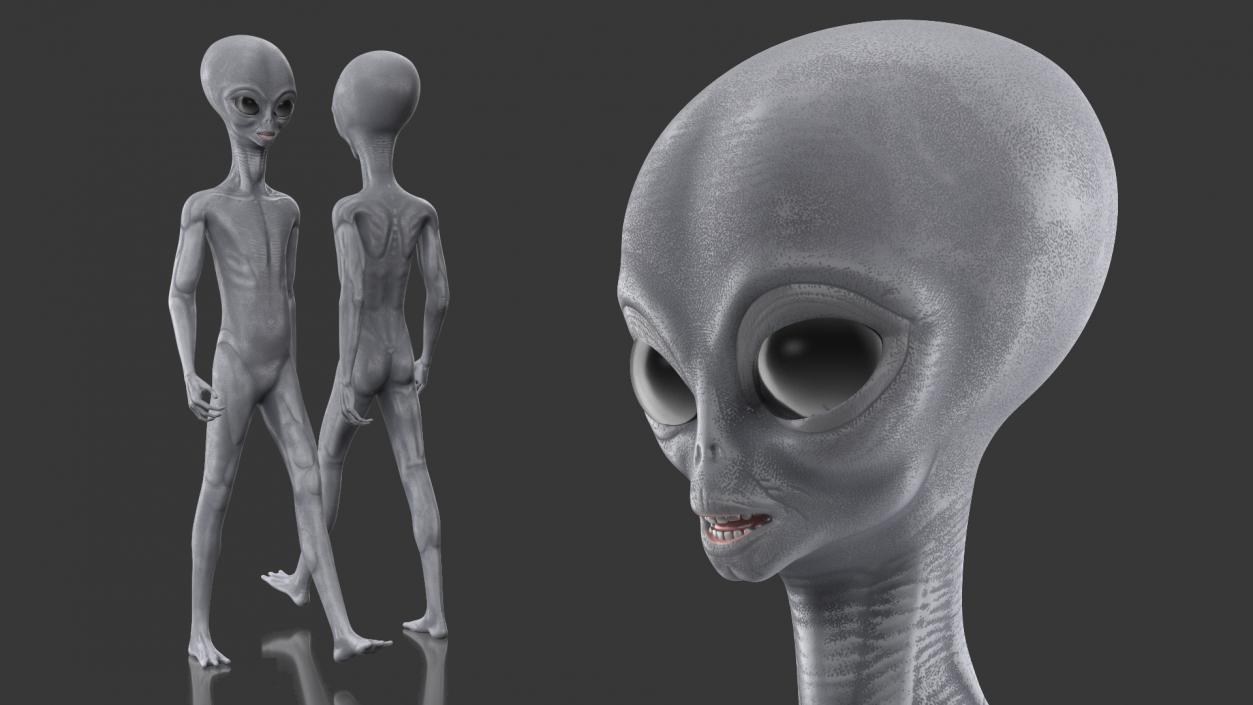 3D Alien Walking Pose model