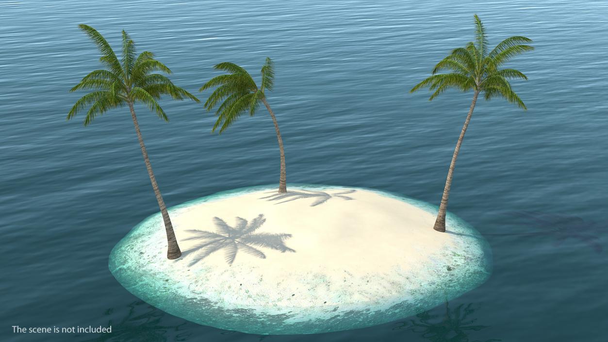 3D Tropical Island with Palms