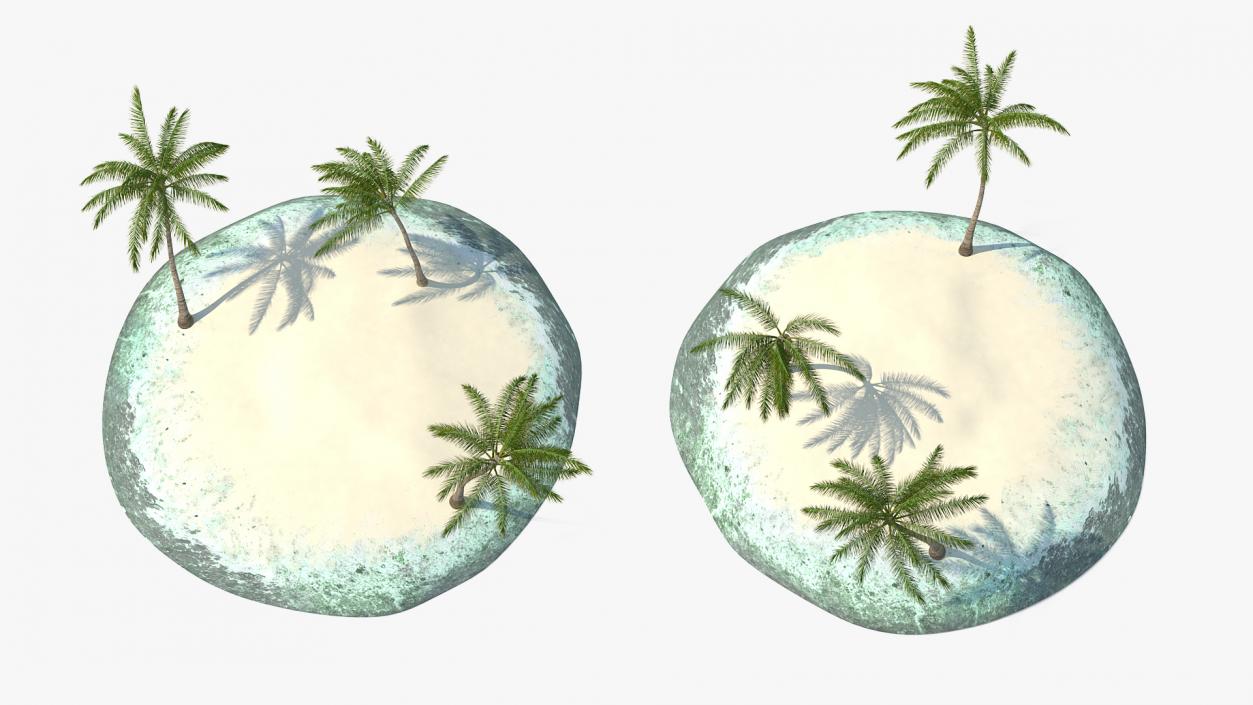 3D Tropical Island with Palms