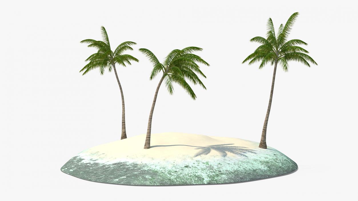 3D Tropical Island with Palms