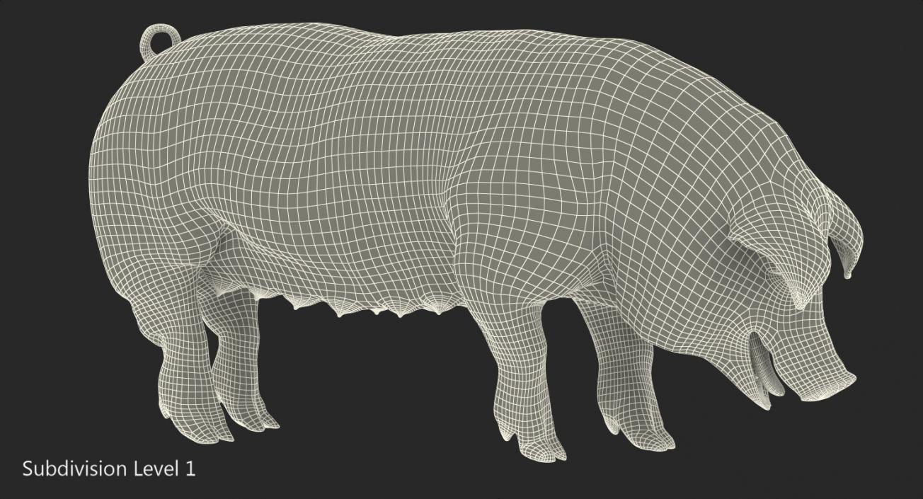 Pig Sow Peitrain Standing Pose with Fur 3D model