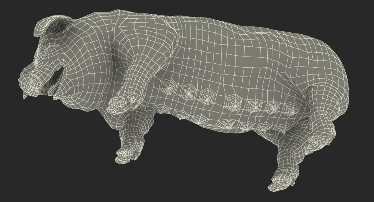 Pig Sow Peitrain Standing Pose with Fur 3D model