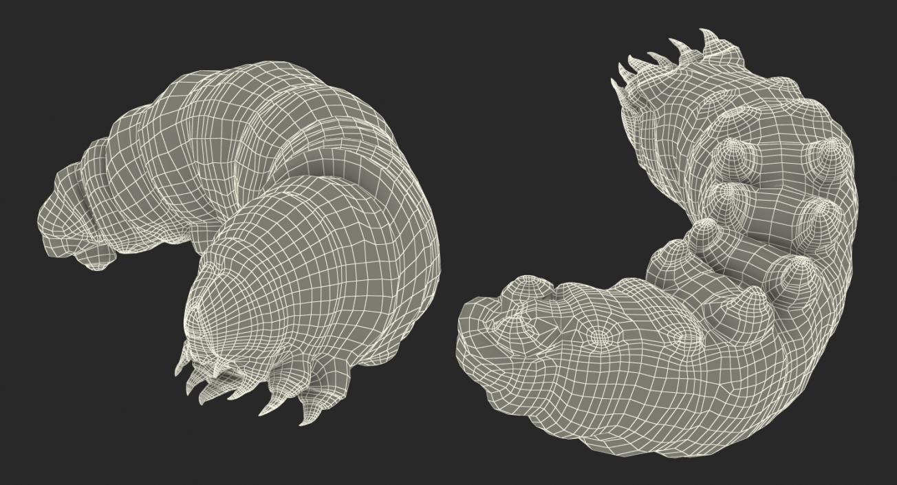 3D Papilio Machaon Caterpillar Rigged with Fur model