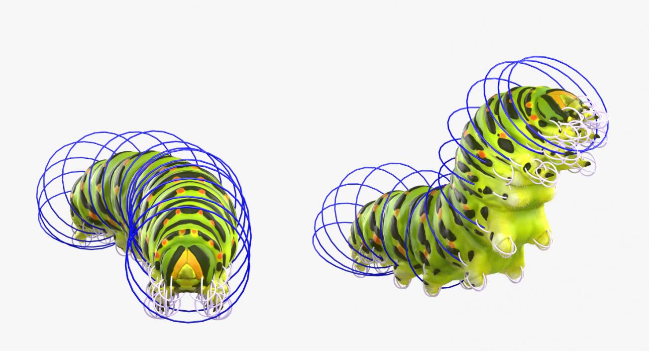 3D Papilio Machaon Caterpillar Rigged with Fur model