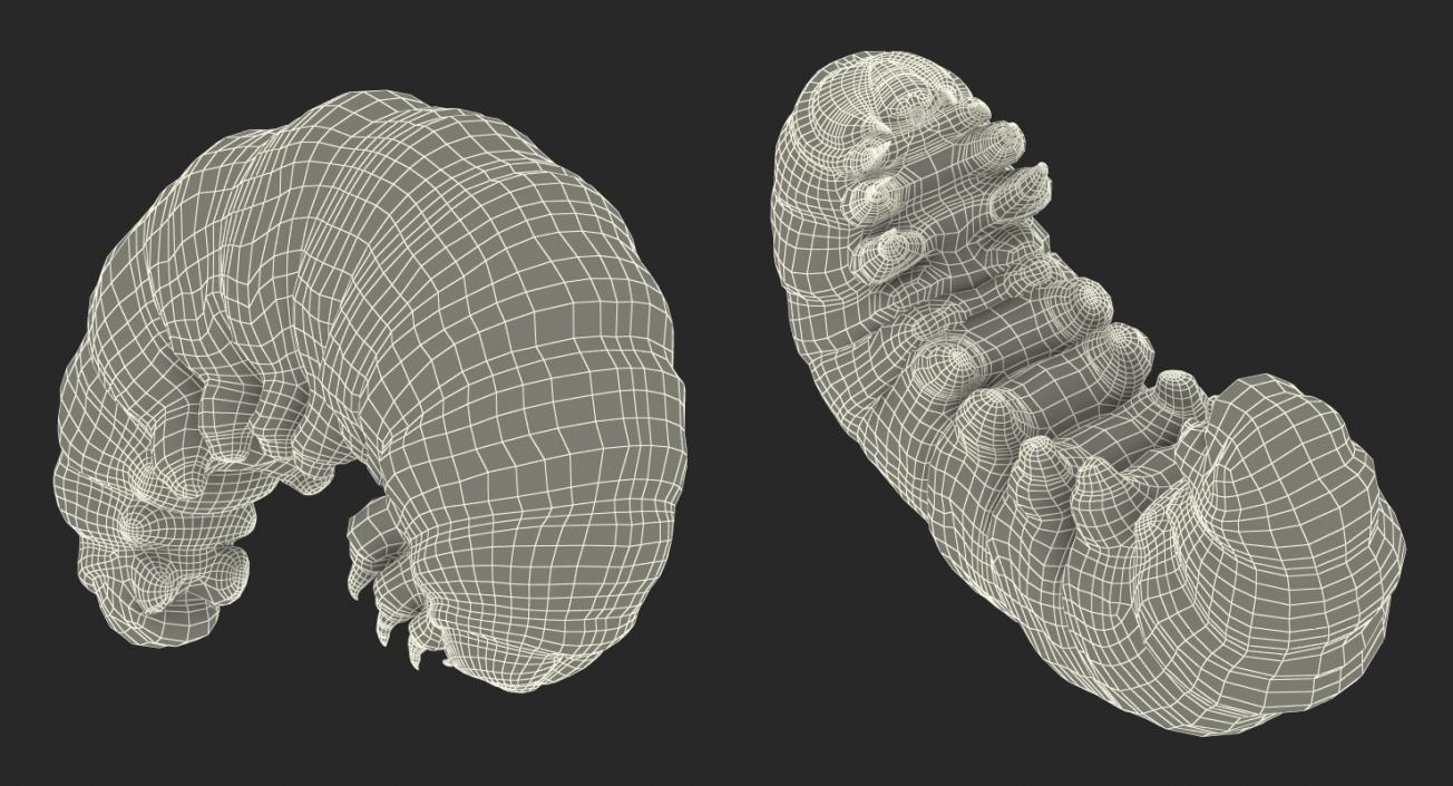 3D Papilio Machaon Caterpillar Rigged with Fur model