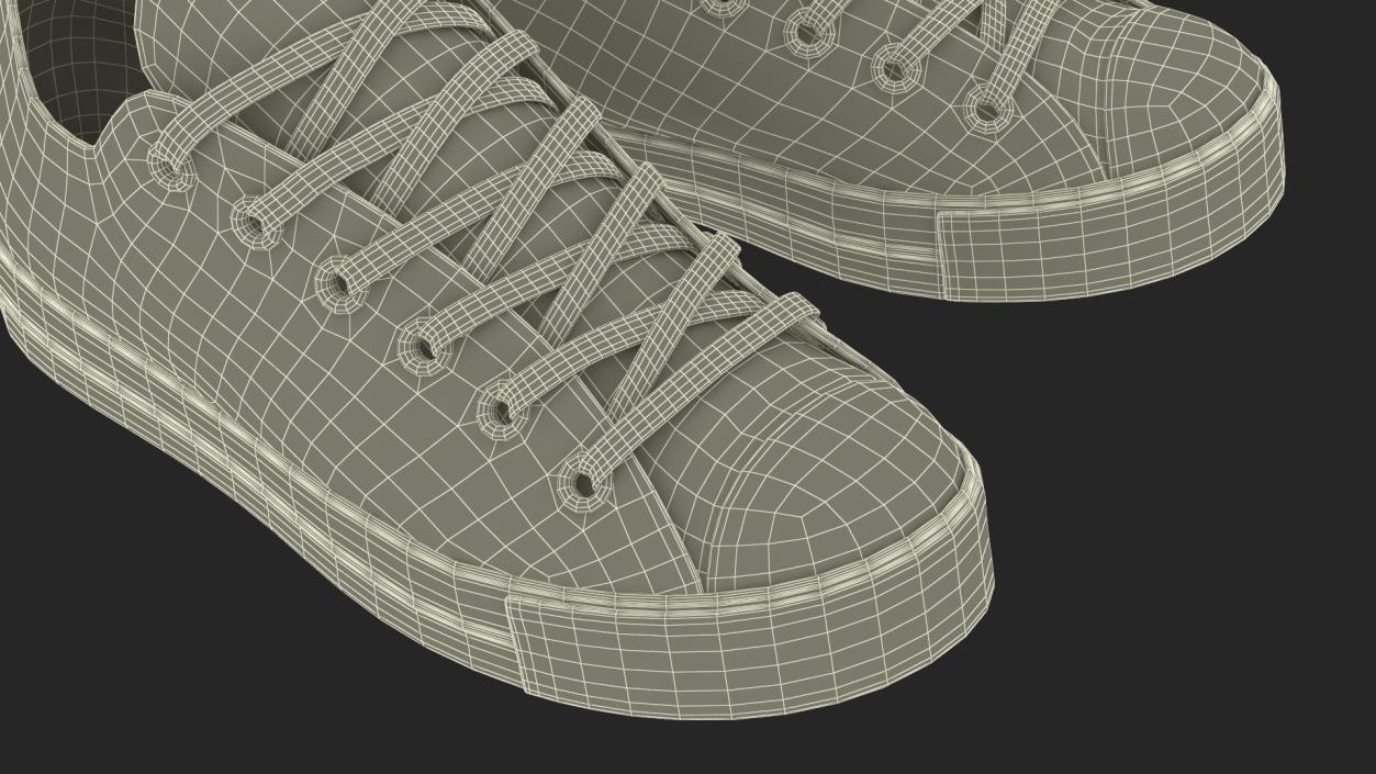 Casual Canvas Sneakers 3D