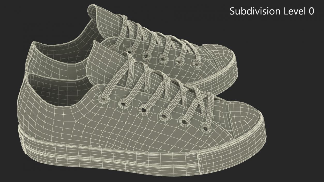 Casual Canvas Sneakers 3D