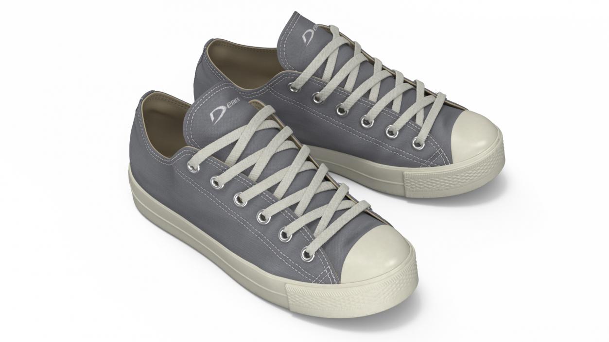 Casual Canvas Sneakers 3D