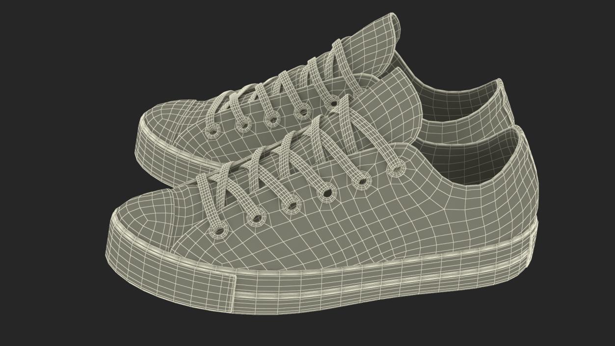 Casual Canvas Sneakers 3D