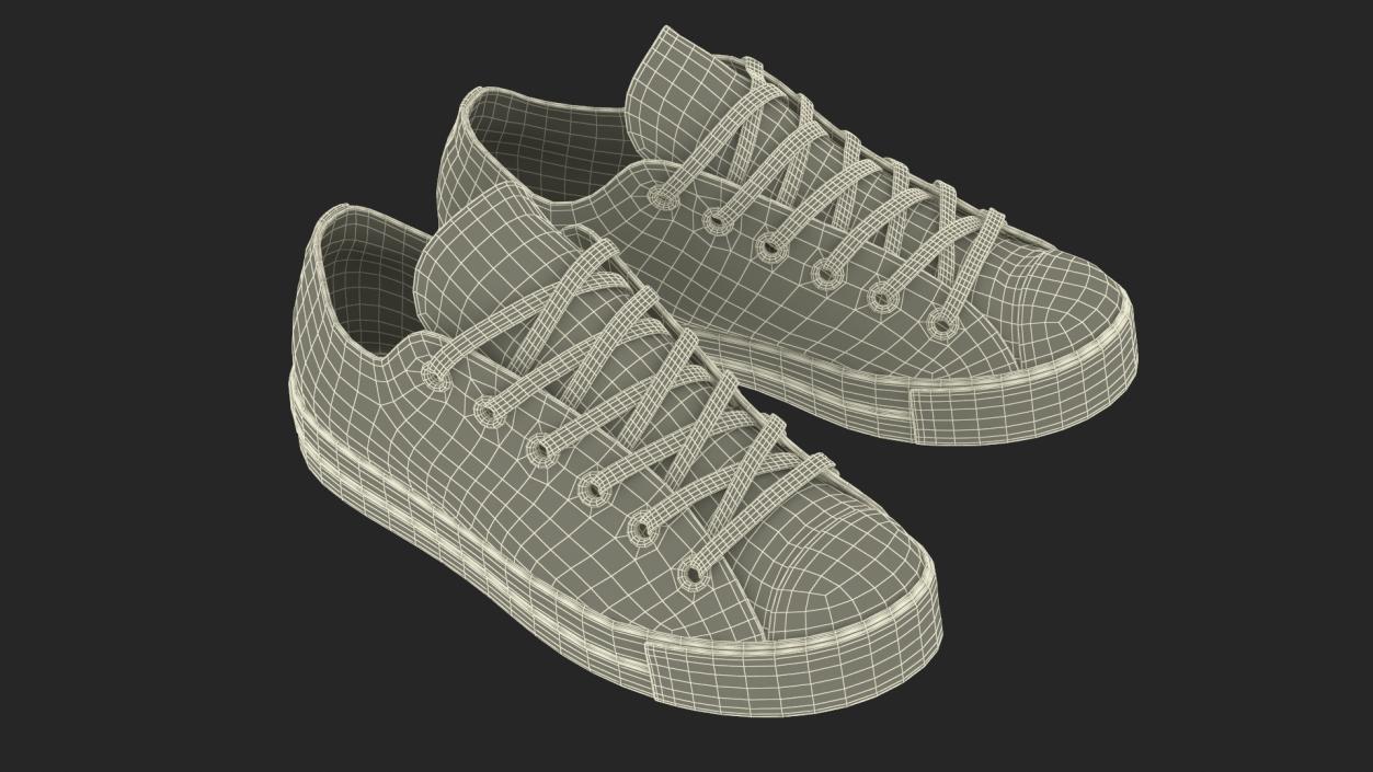 Casual Canvas Sneakers 3D