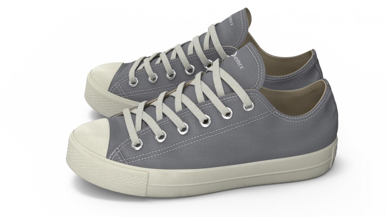 Casual Canvas Sneakers 3D