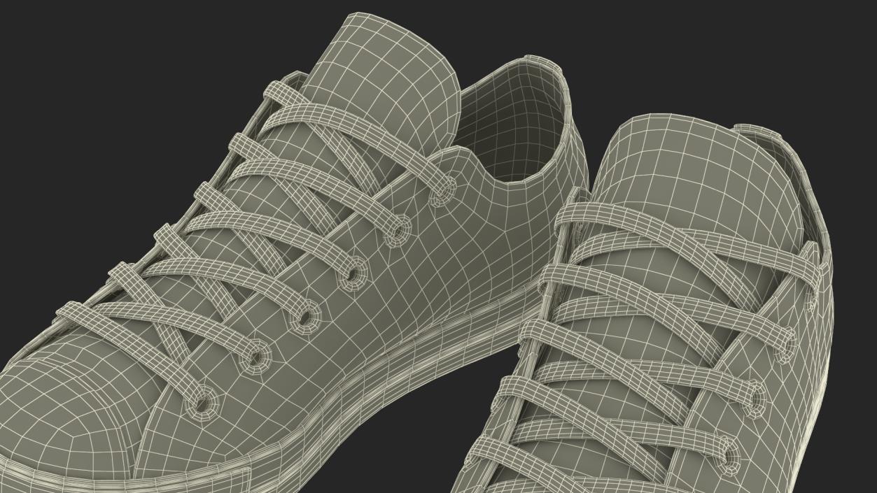 Casual Canvas Sneakers 3D