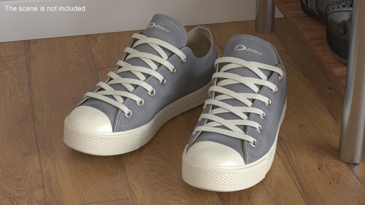 Casual Canvas Sneakers 3D