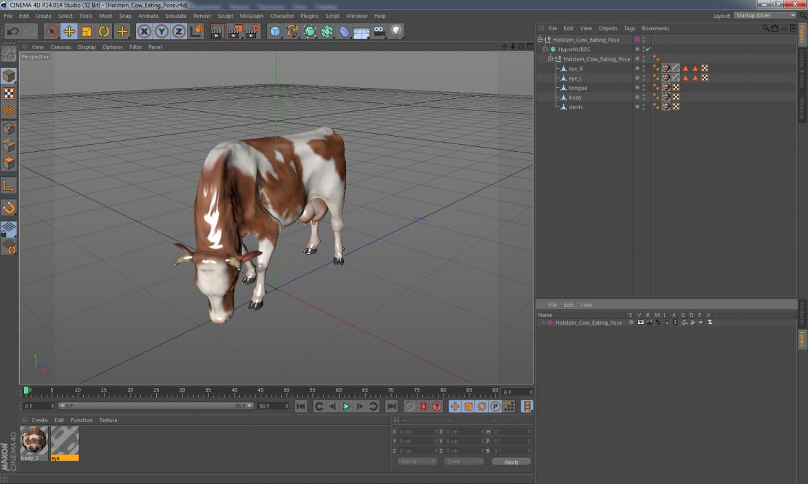 Holstein Cow Eating Pose 3D model