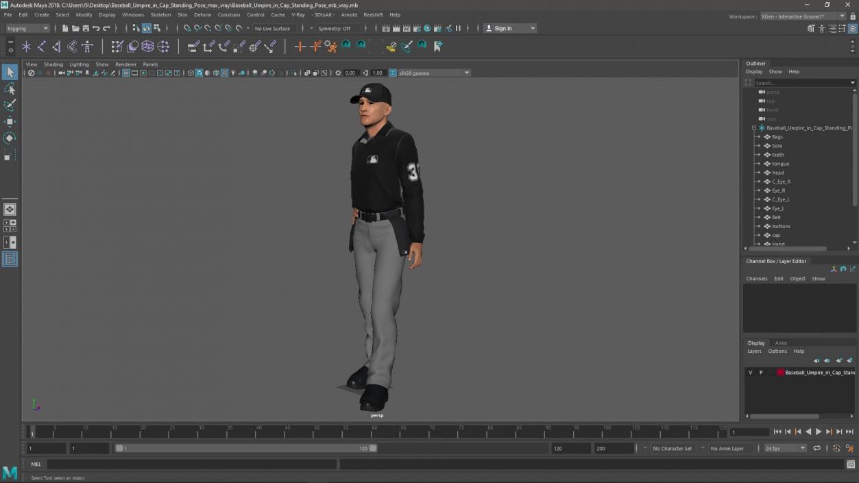 3D Baseball Umpire in Cap Standing Pose