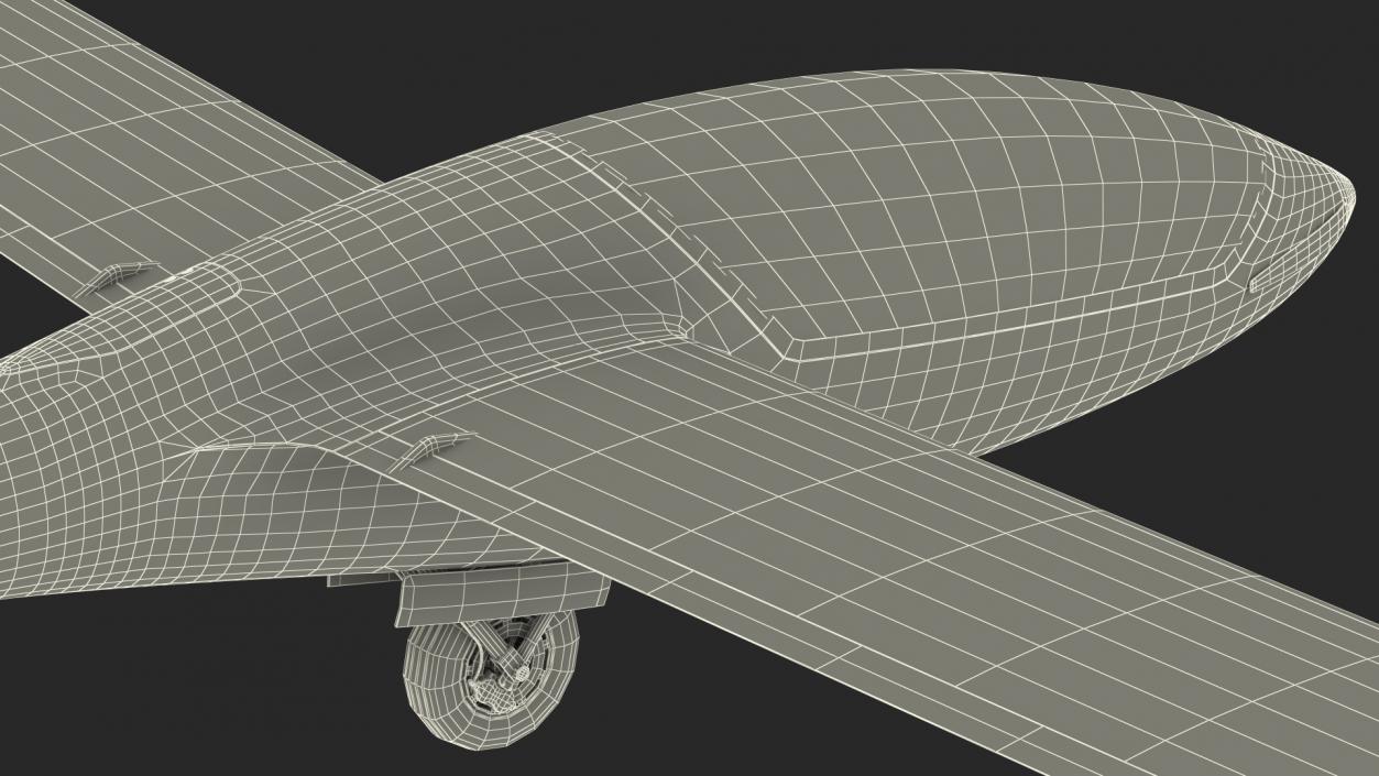 3D model Electric Glider MiniLAK Rigged