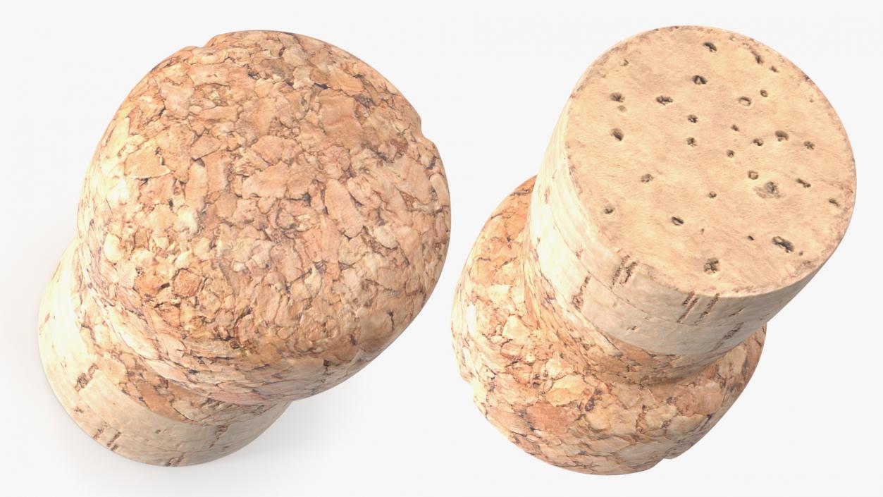 Bottle Cork Stopper 3D model