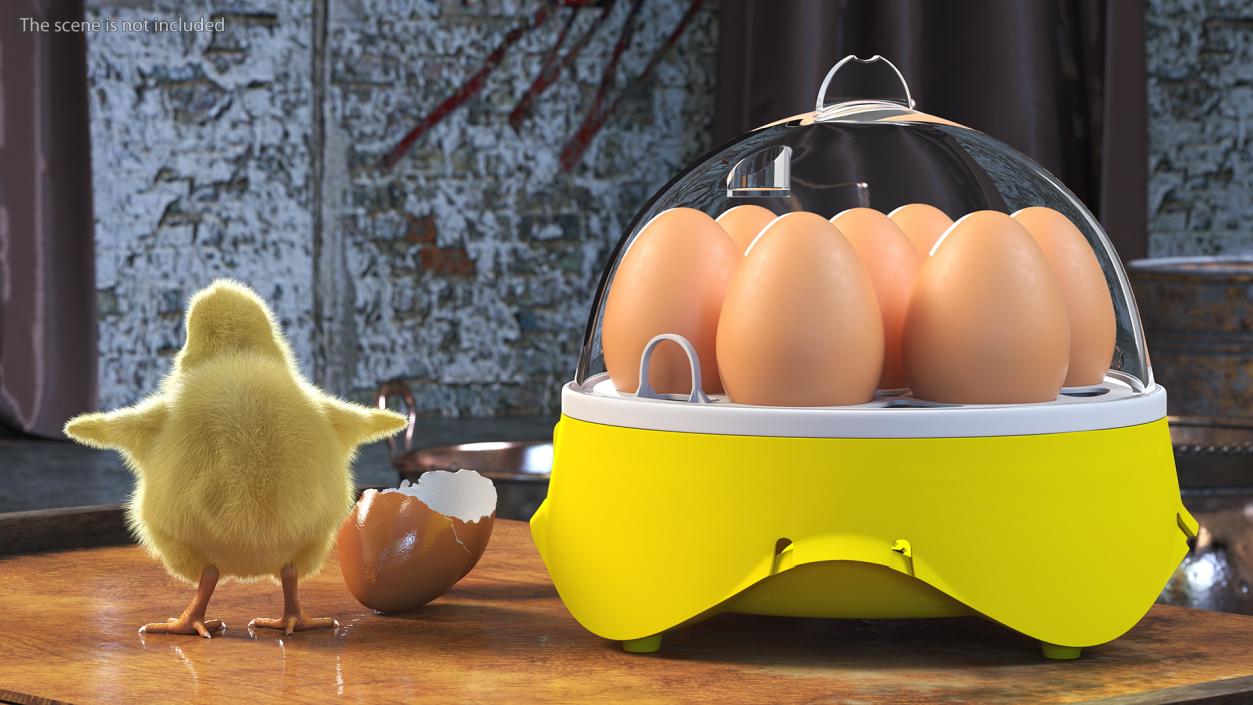 3D Egg Incubator With Chick Fur model