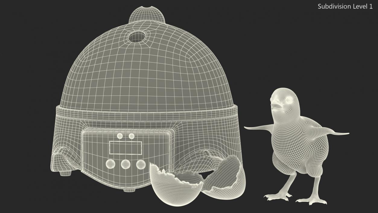 3D Egg Incubator With Chick Fur model