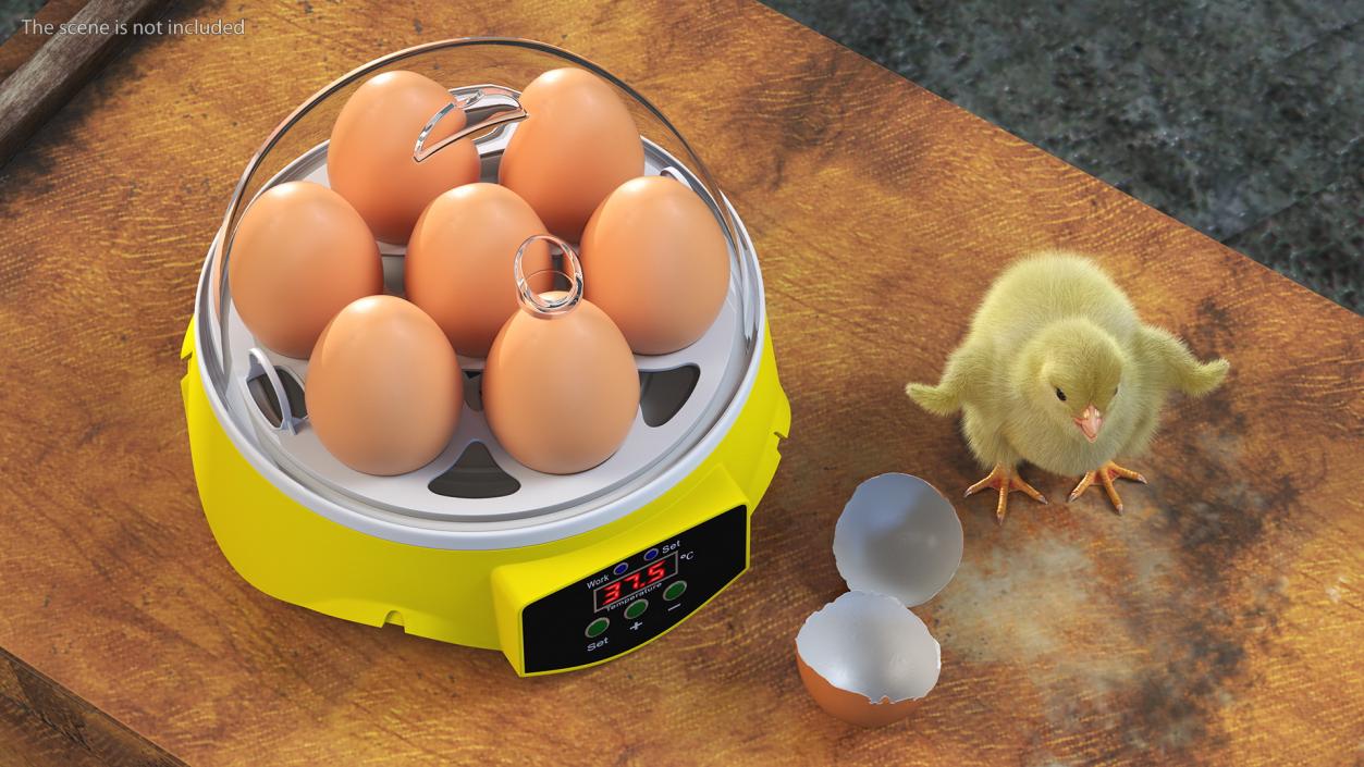 3D Egg Incubator With Chick Fur model