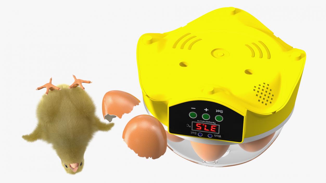 3D Egg Incubator With Chick Fur model