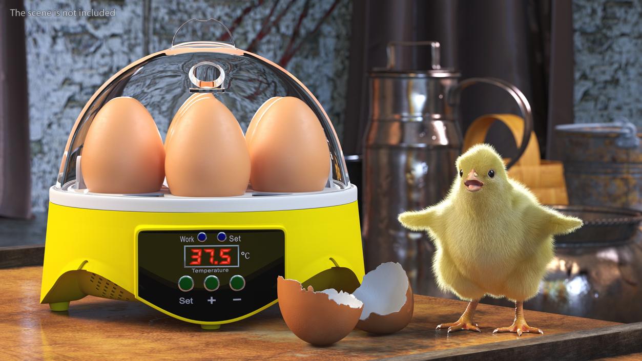 3D Egg Incubator With Chick Fur model