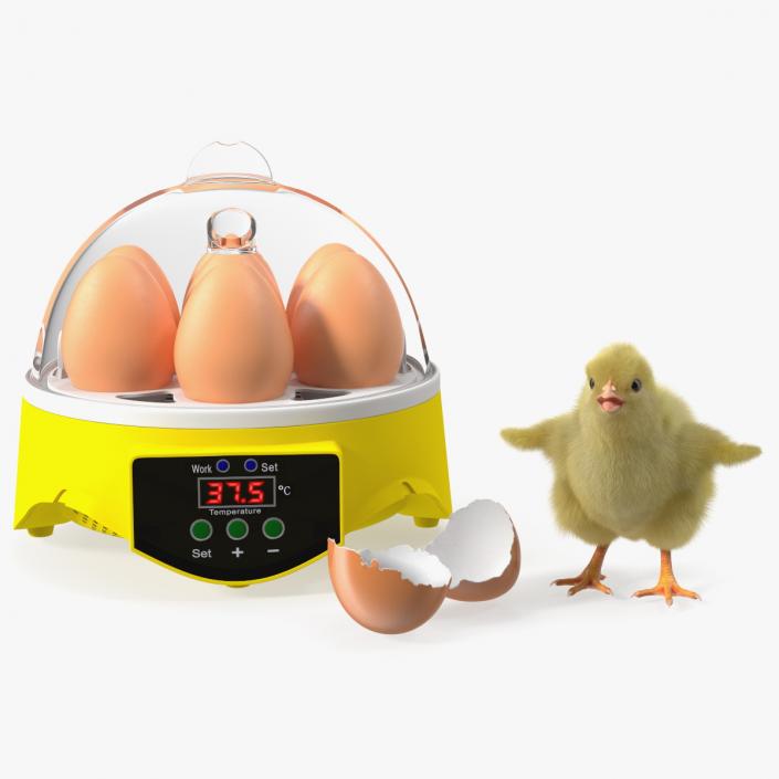 3D Egg Incubator With Chick Fur model