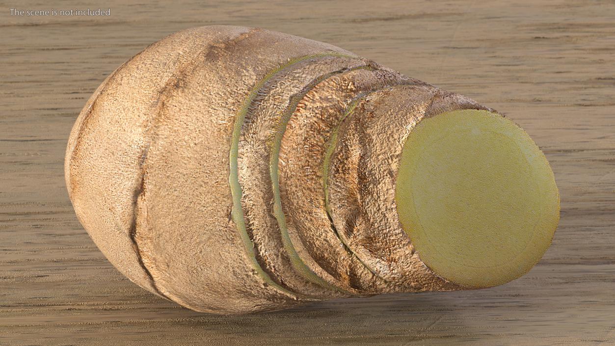 Sliced Ginger Piece 3D model