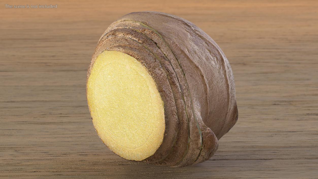 Sliced Ginger Piece 3D model