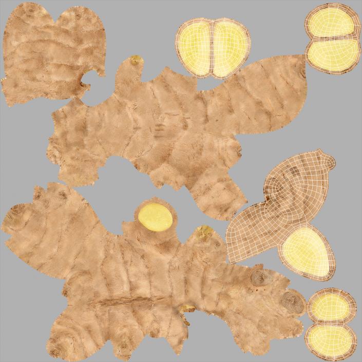 Sliced Ginger Piece 3D model