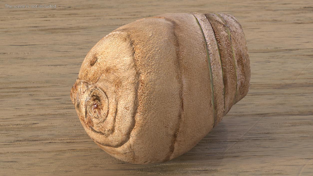 Sliced Ginger Piece 3D model